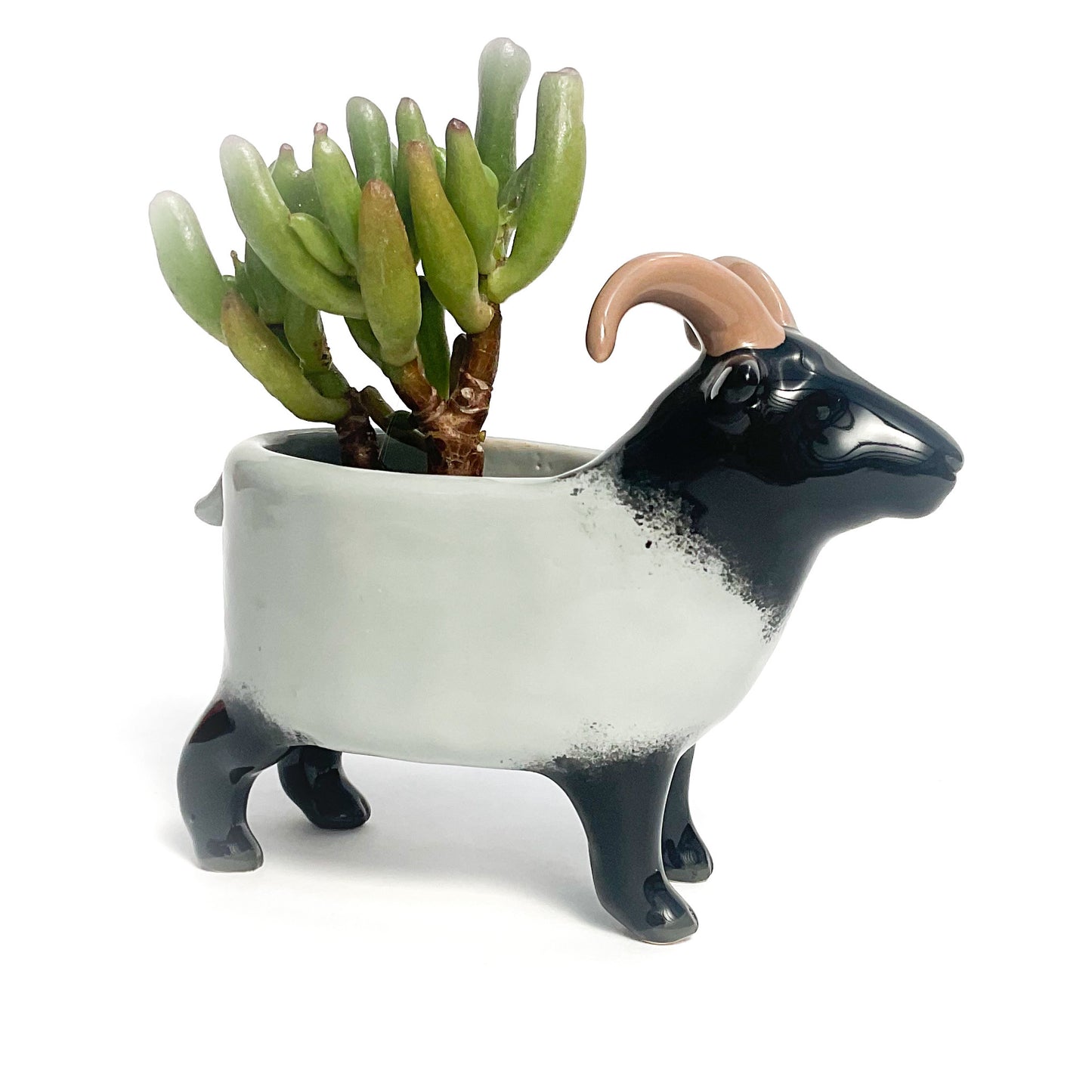 Gray Icelandic Sheep Pot - Ceramic Sheep Planter
