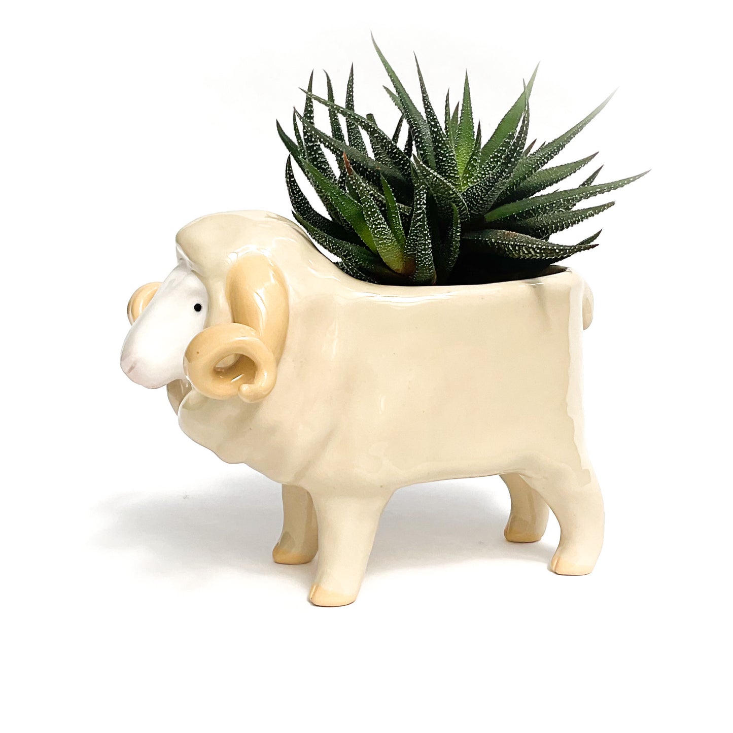 Merino Pot - Ceramic Sheep Planter
