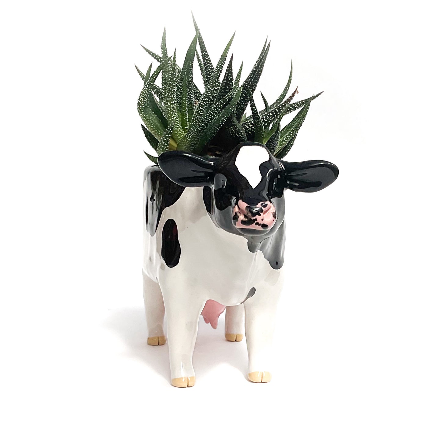 Holstein Friesian Cow Pot