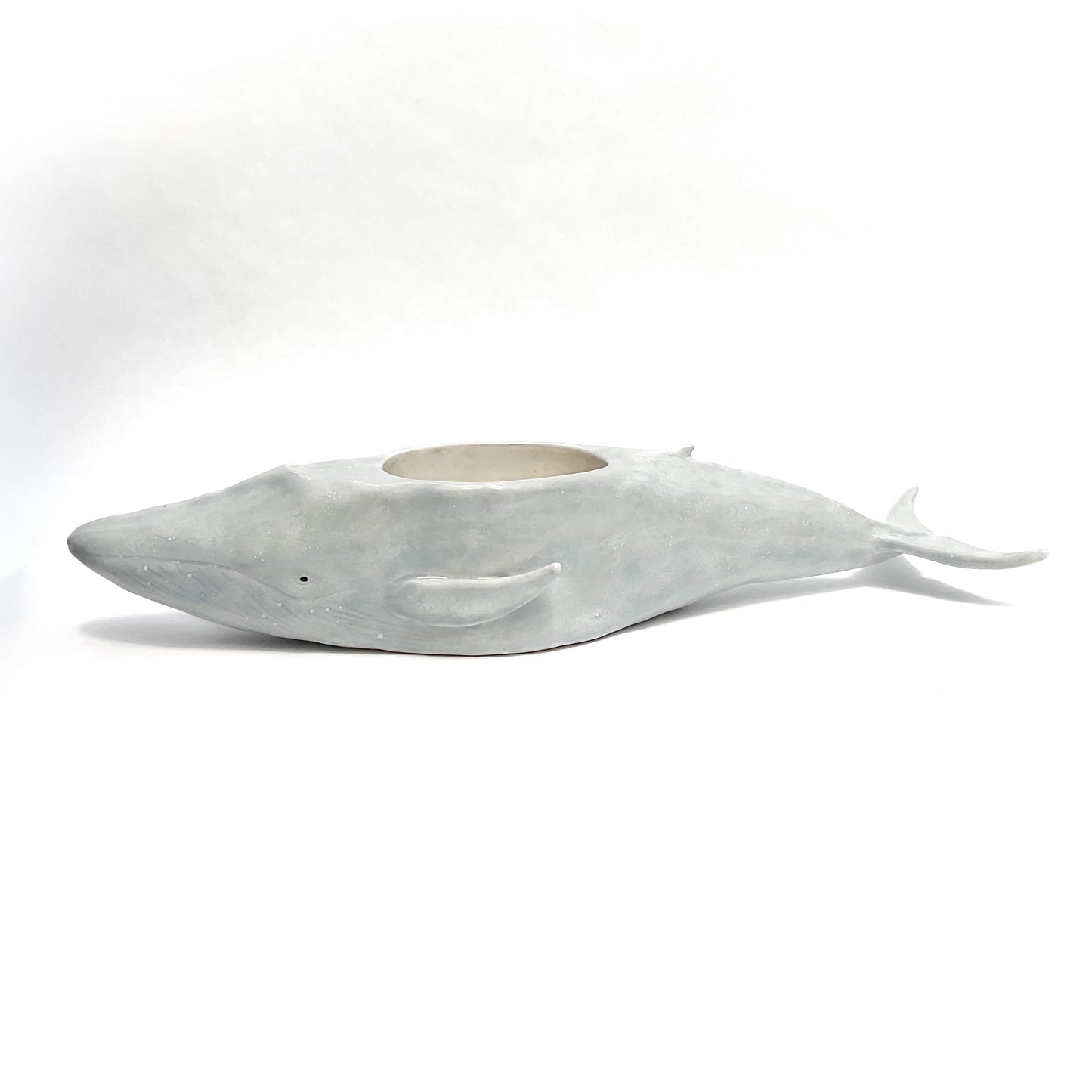 Blue Whale Pot - Ceramic Whale Planter
