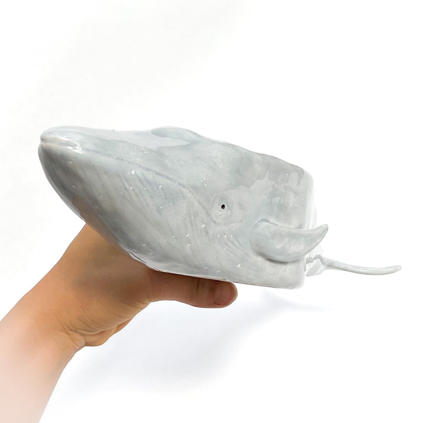 Blue Whale Pot - Ceramic Whale Planter