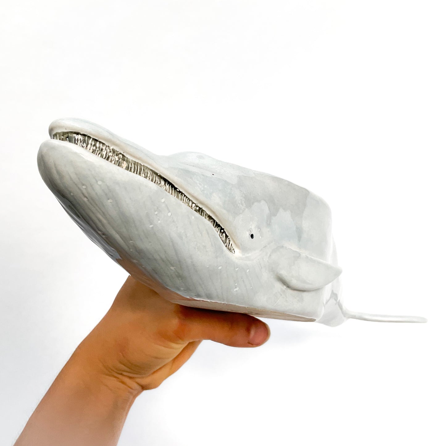 'Baleen' Blue Whale Pot - Ceramic Whale Planter