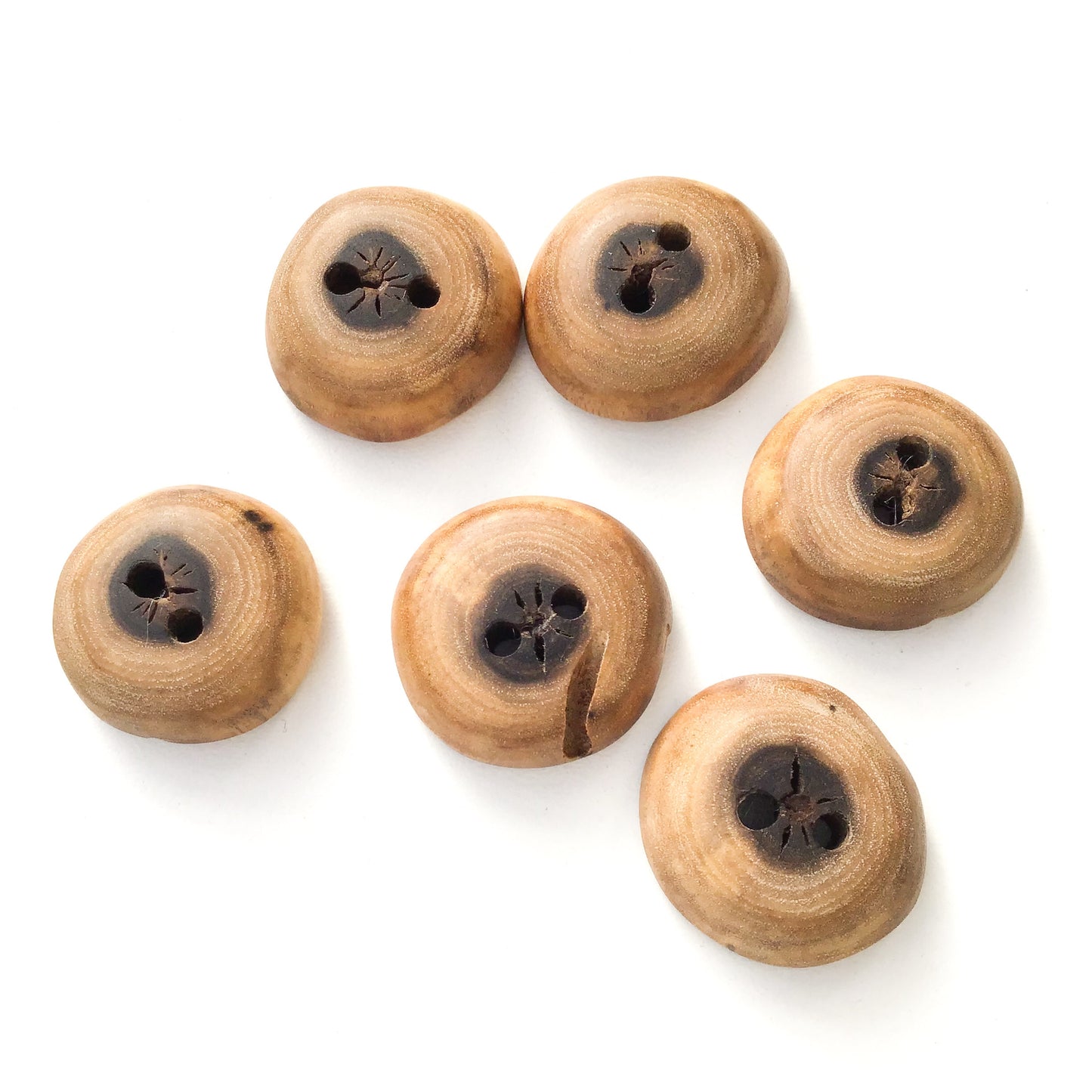Black Walnut Wood Buttons - Walnut Sap & Heartwood Buttons - 7/8" - 6 Pack