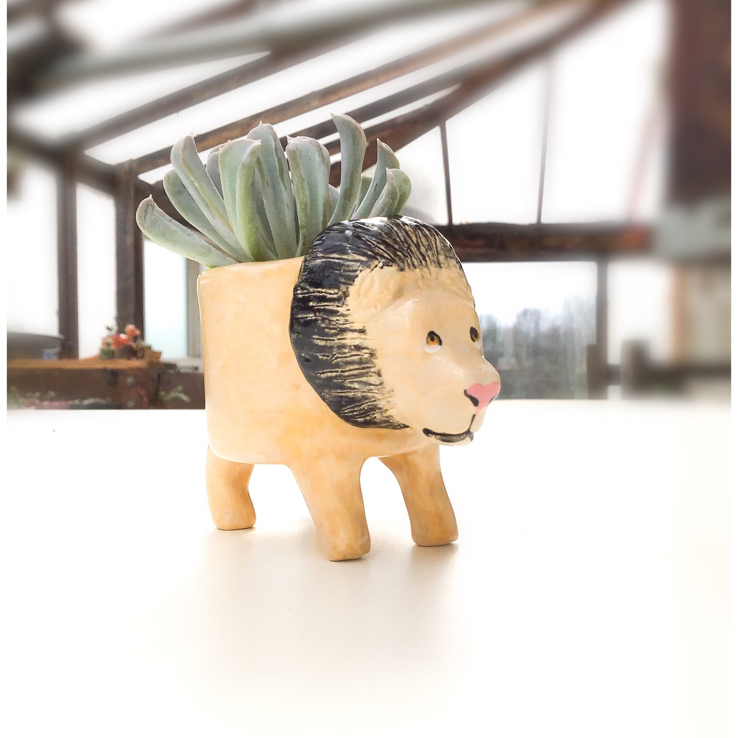 Lion "King of the Jungle" Planter - Lion Succulent Pot