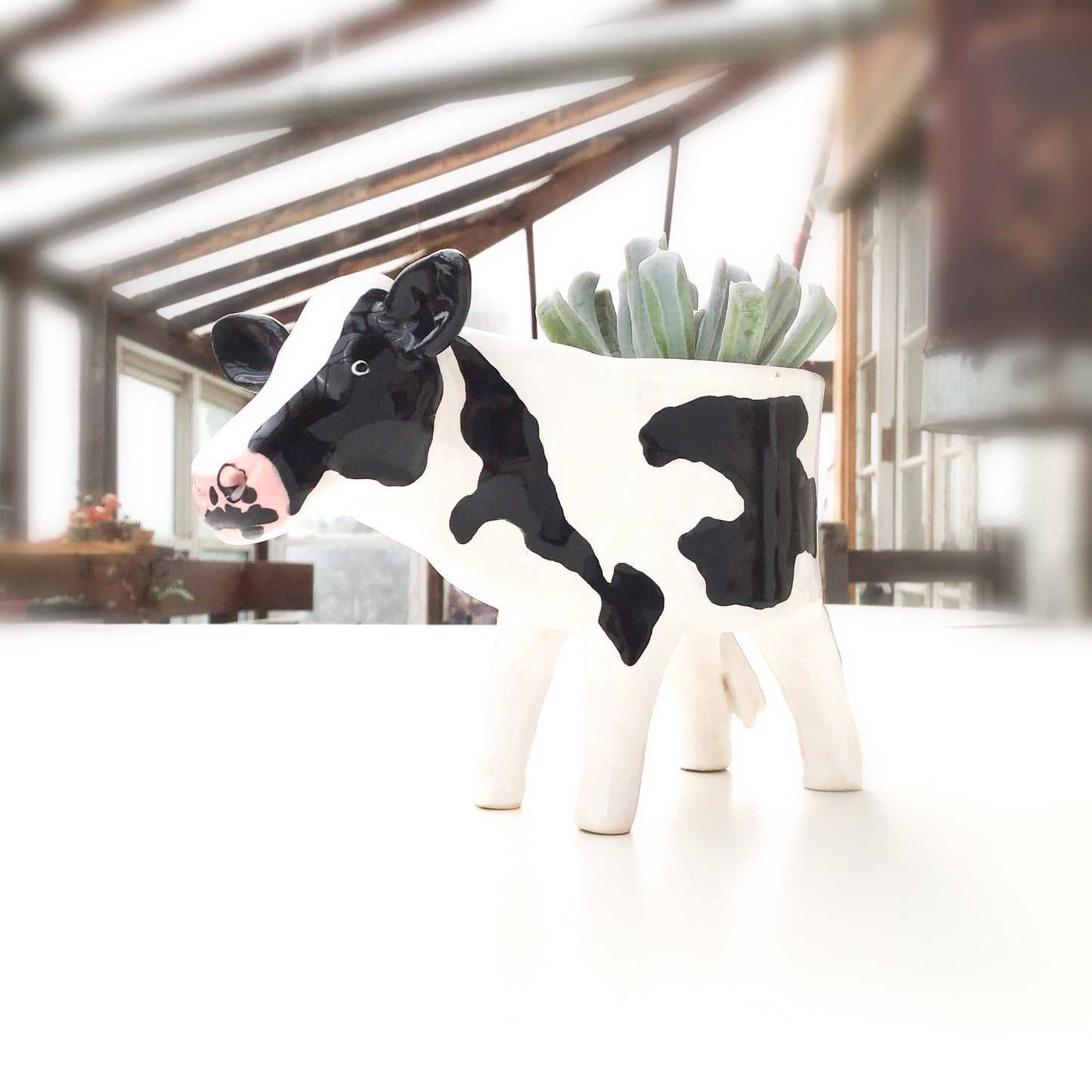 Holstein Friesian Cow Pot - Ceramic Cow Planter
