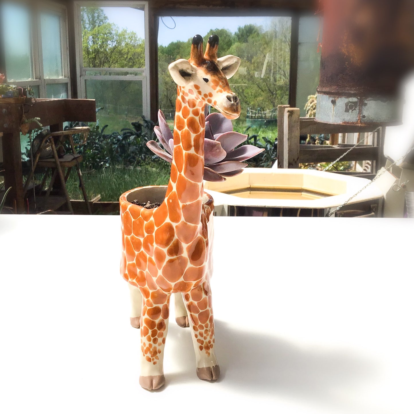 Giraffe Planter - Giraffe Succulent Pot