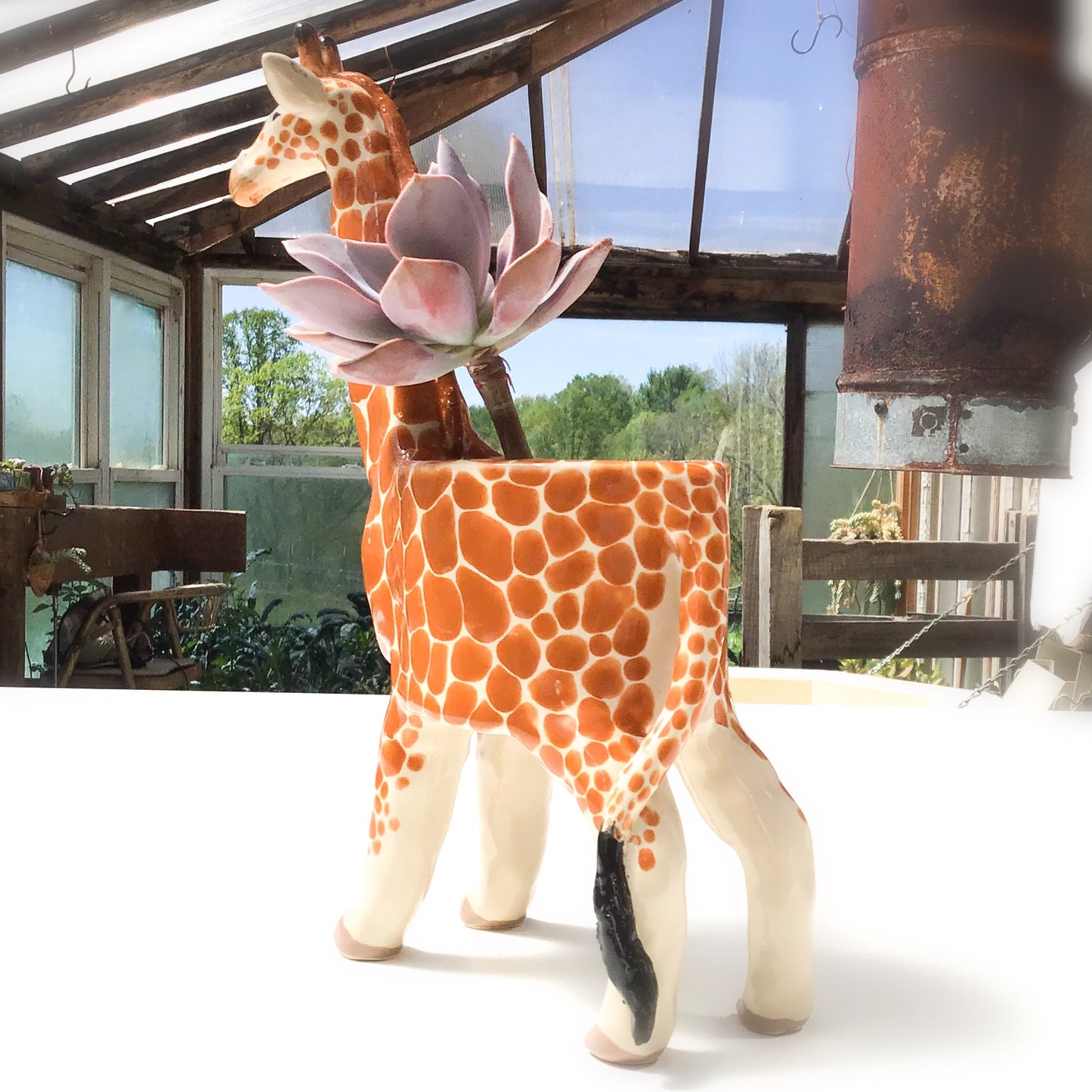 Giraffe Planter - Giraffe Succulent Pot