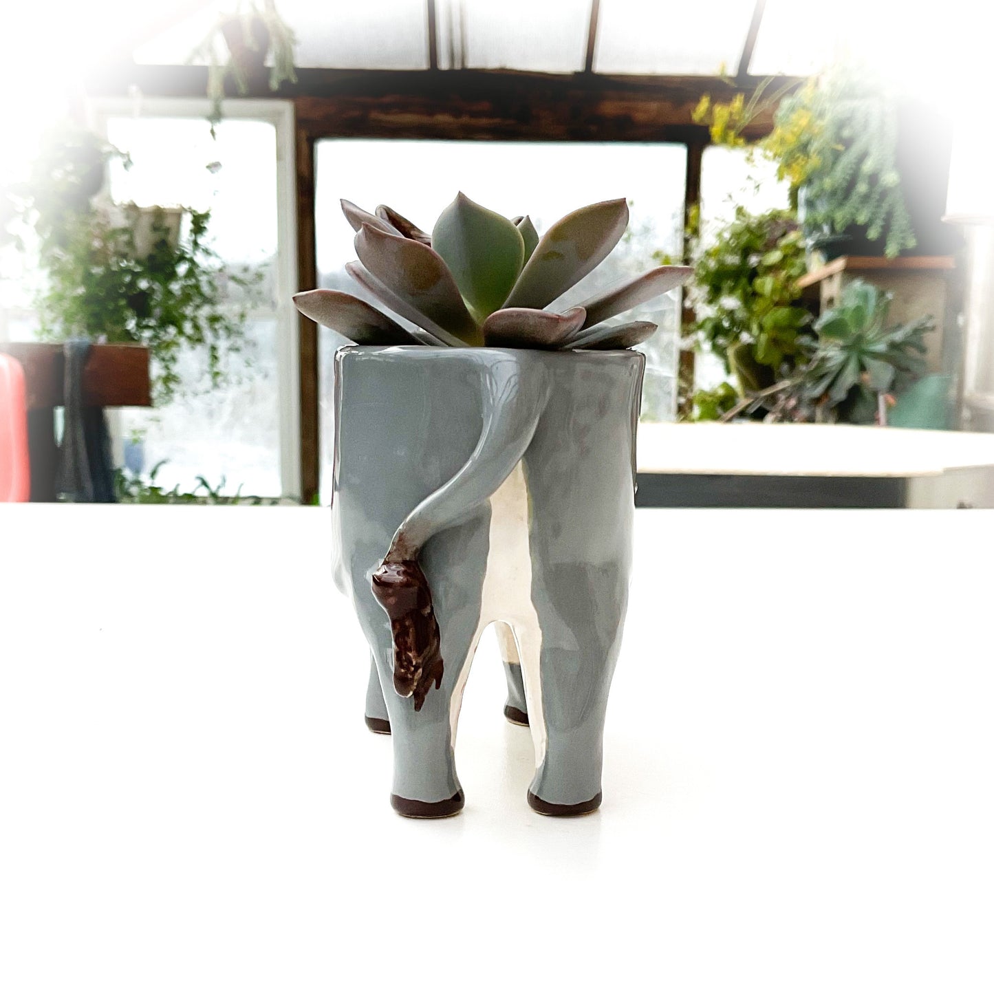 Donkey Planter - Ceramic Donkey Plant Pot