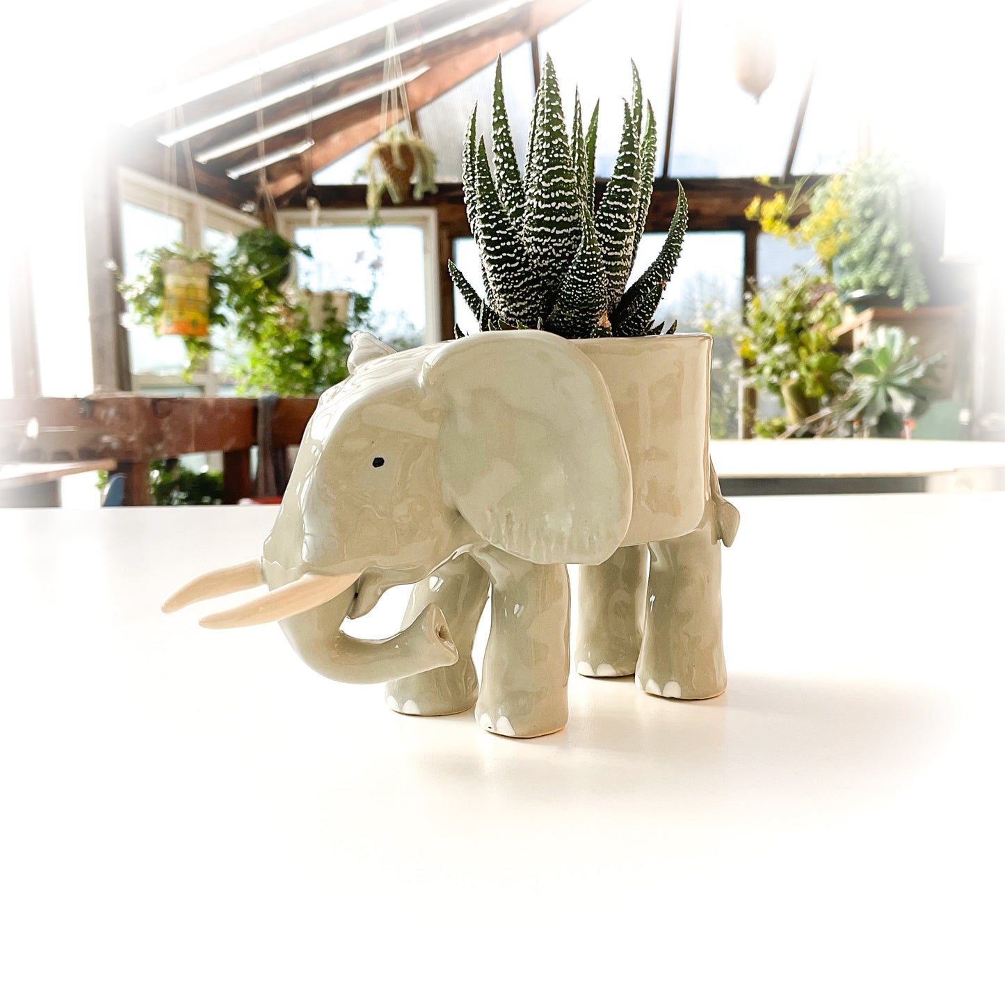 African Elephant Pot - Ceramic Elephant Planter