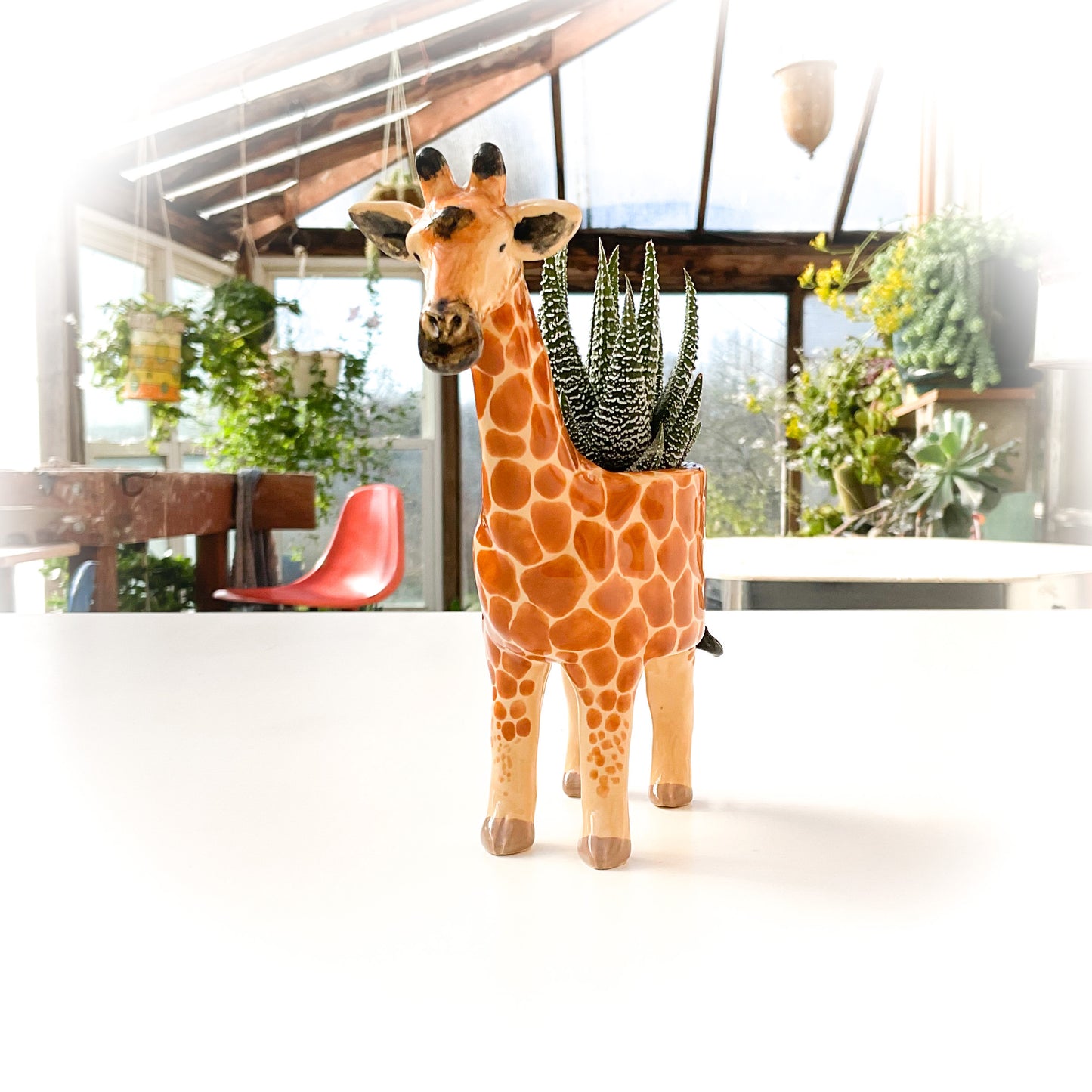 Giraffe Pot - Ceramic Giraffe Planter