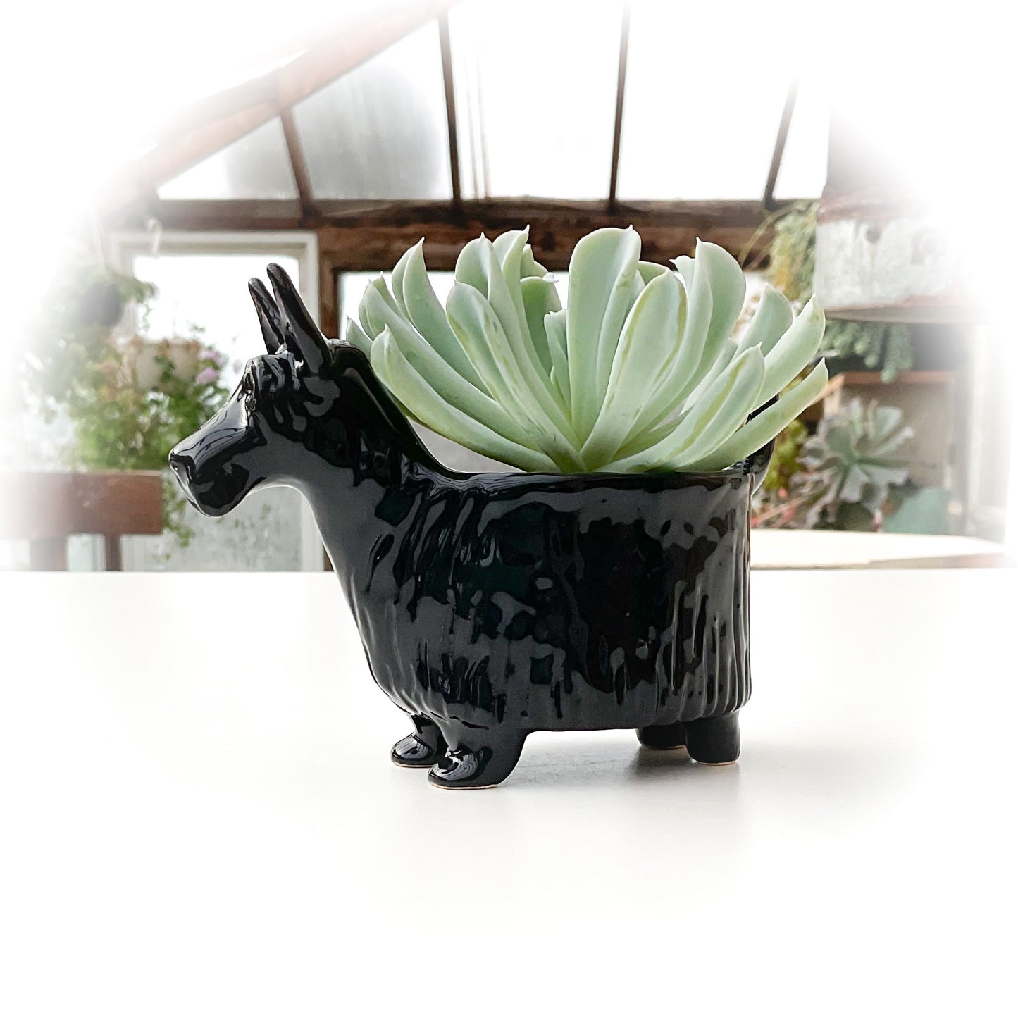 Scottish Terrier Dog Planter - Ceramic Dog Plant Pot
