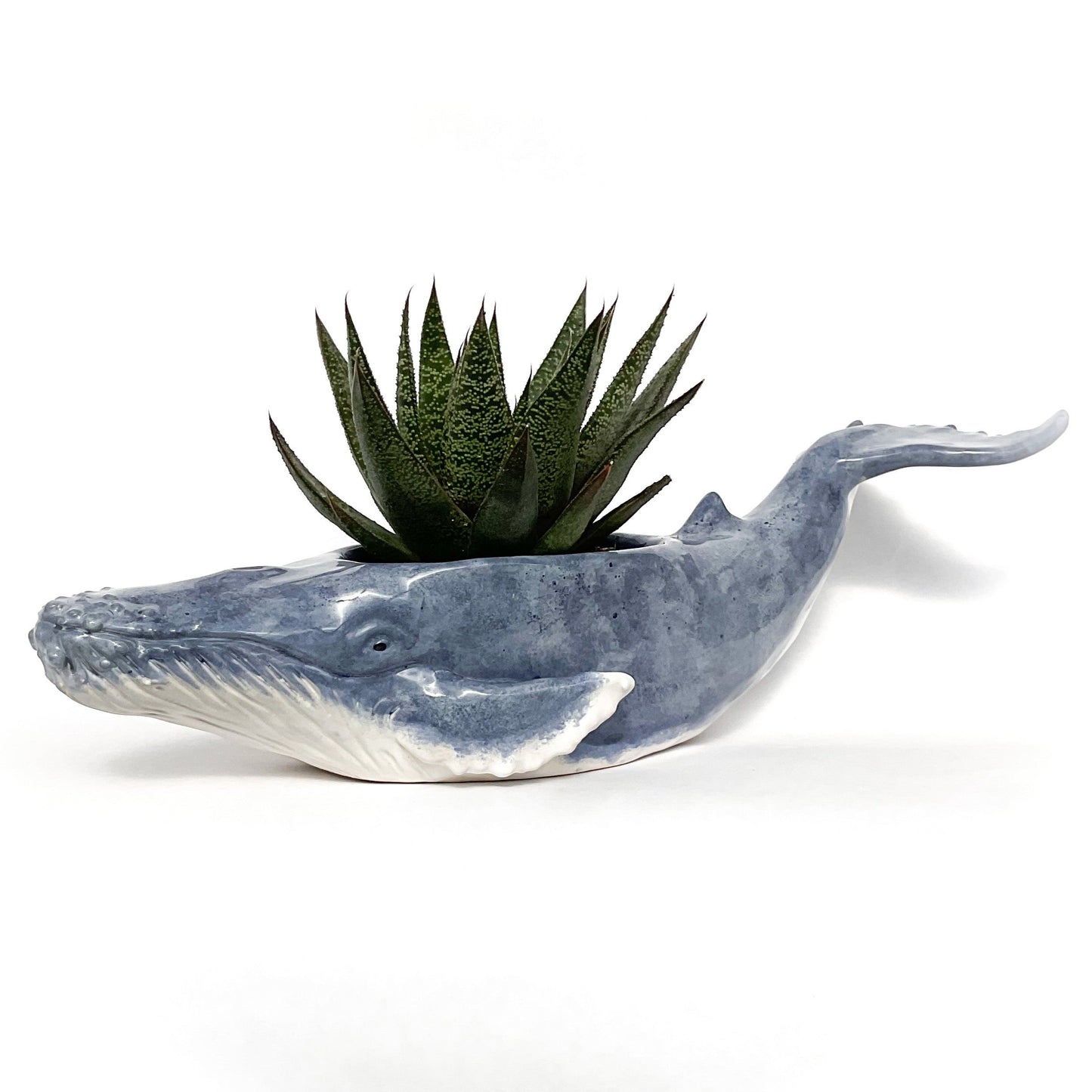 Humpback Whale Pot - Ceramic Whale Planter