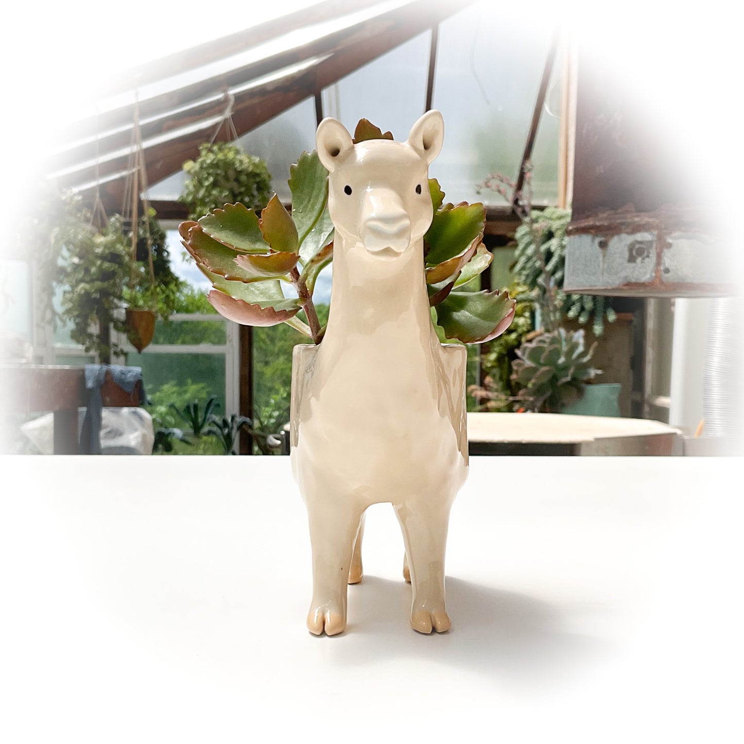 Beige Alpaca Pot - Ceramic Alpaca Planter