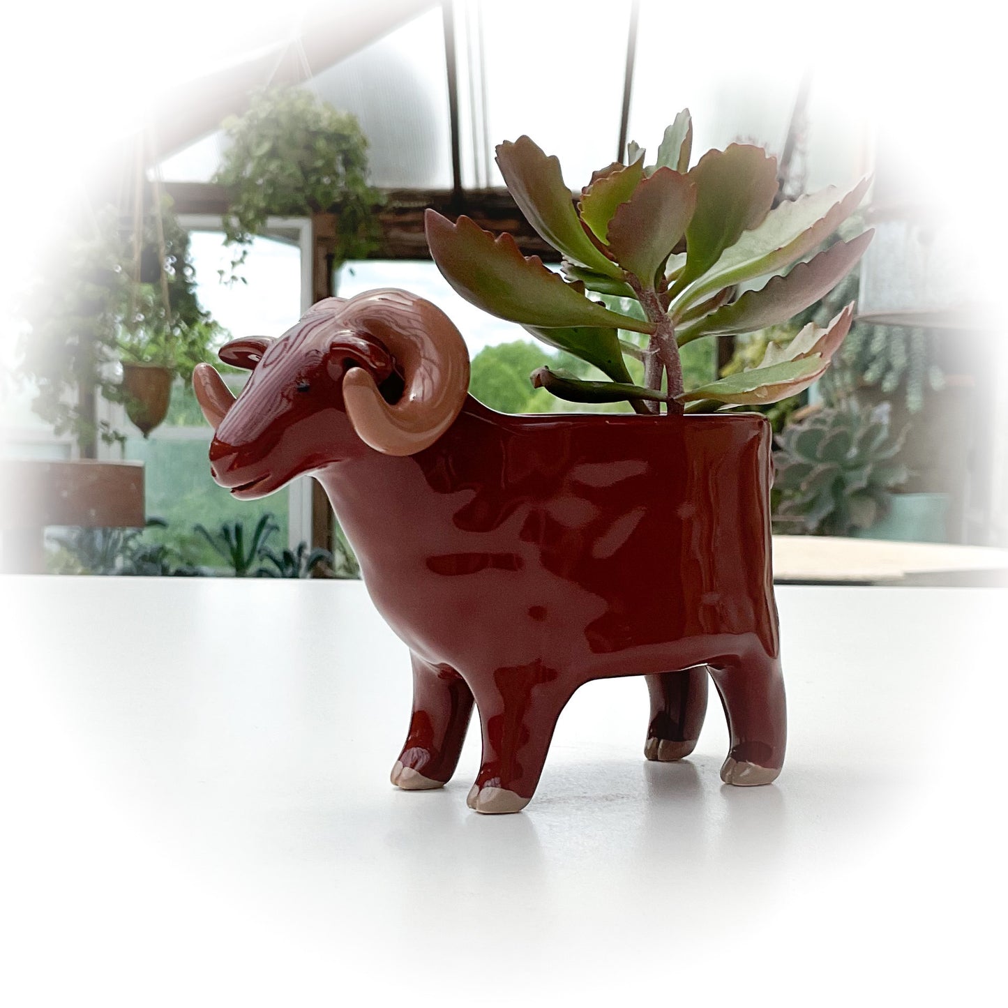 Chestnut Brown Sheep Pot - Ceramic Sheep Planter