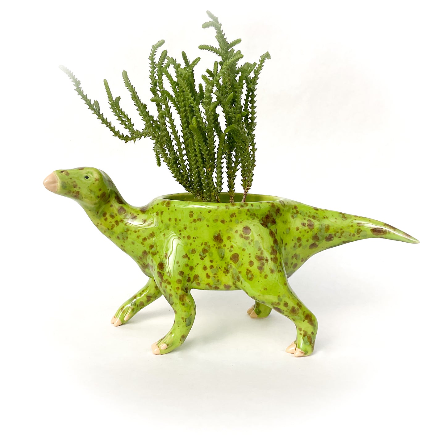 Iguanodon Dinosaur Planter - Dinosaur Succulent Planter