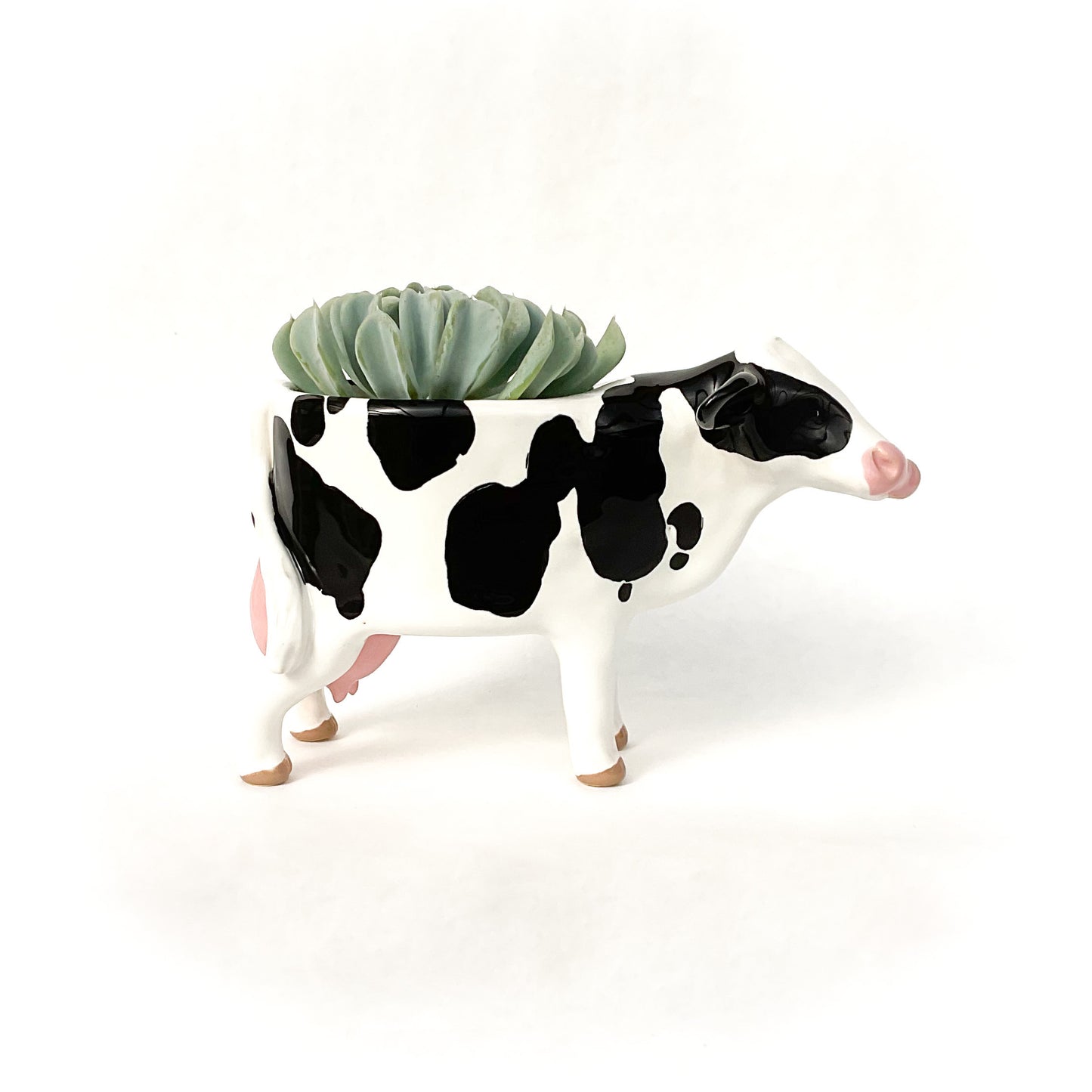 RESERVED for J.J. -  Ceramic Holstein & Pig Planter
