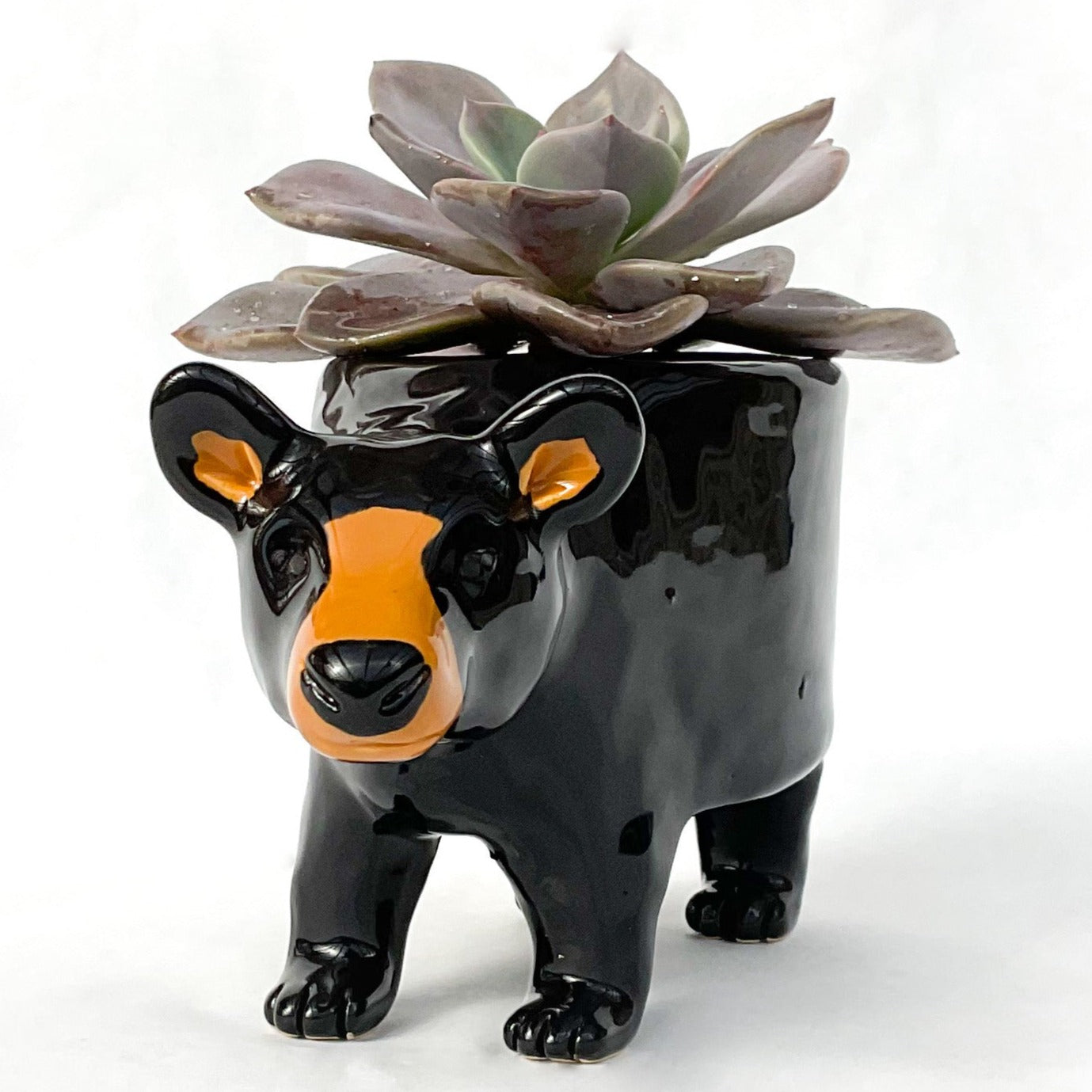 Black Bear Ceramic Planter