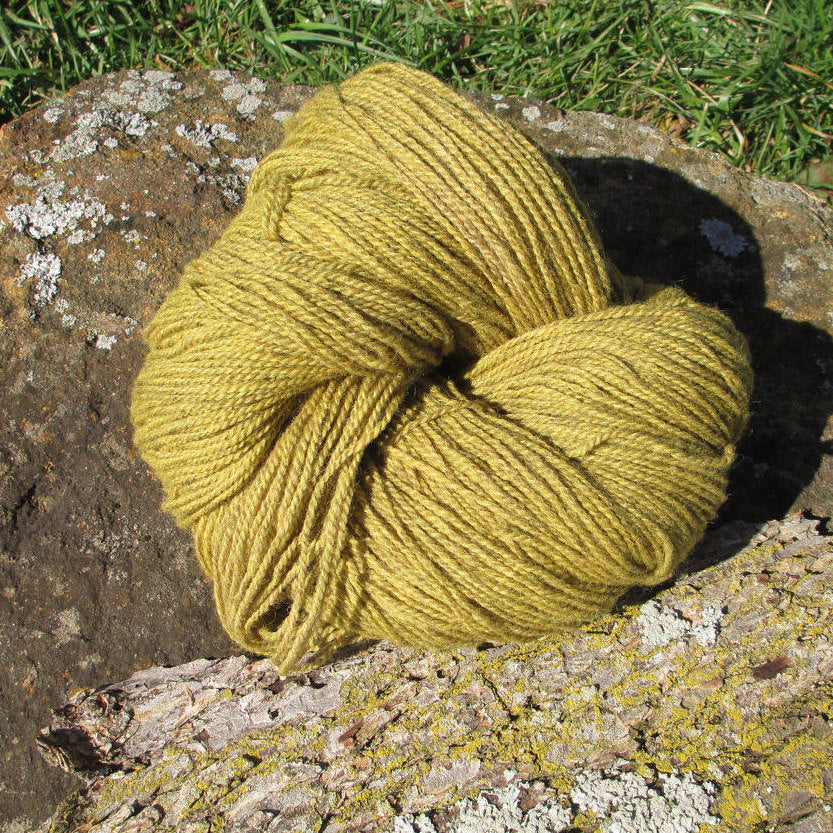 Plant-dyed Goldenrod Yarn - Worsted Weight